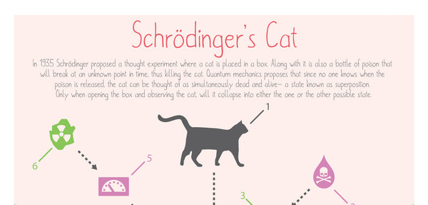 schrodingers cat experiment