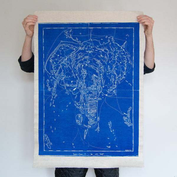 Elephantidae *Blue*